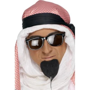 Arabisheikin Parta