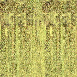 Bileverho kulta hologrammi 100x250cm