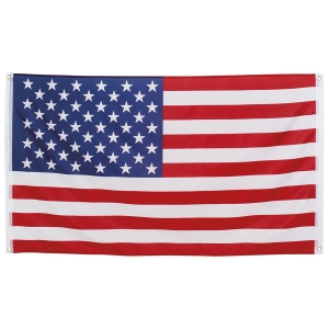 Lippu USA iso