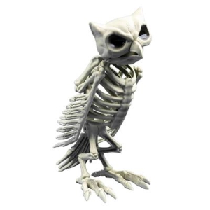 Luuranko pöllö 30cm