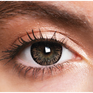 Piilolinssit Forest Hazel 3kk