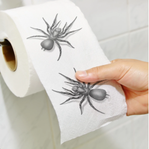 WC-paperi Hämähäkki